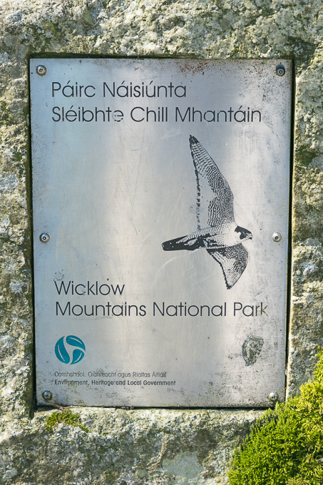 Wicklow Mountains National Park Apr 2018 (018)